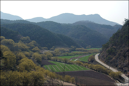 숲실마을 앞산에서 내려다 본 화전2리 들. 